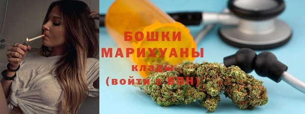 твердый Дмитров