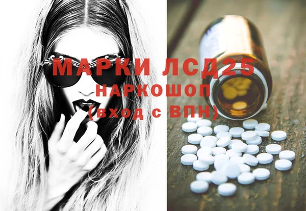 PSILOCYBIN Елизово