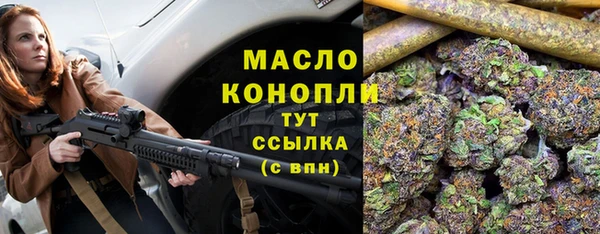 дмт Дмитровск