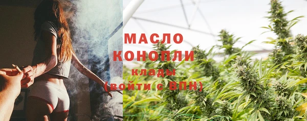 дмт Дмитровск