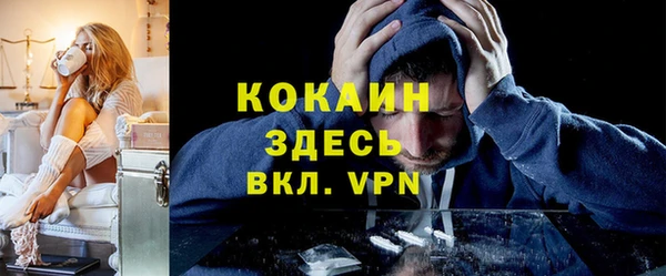твердый Дмитров