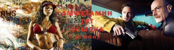 дмт Дмитровск