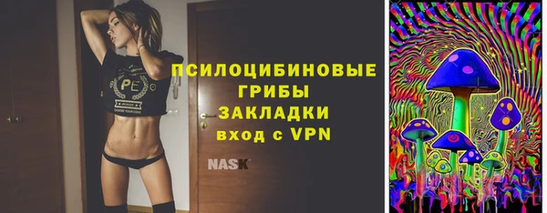 бутират Гусев