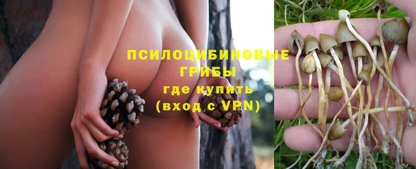бутират Гусиноозёрск