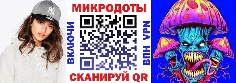 закладка Дно Псилоцибиновые грибы Cubensis
